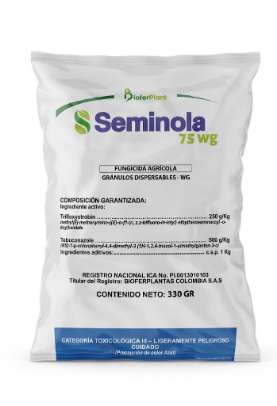 SEMINOLA